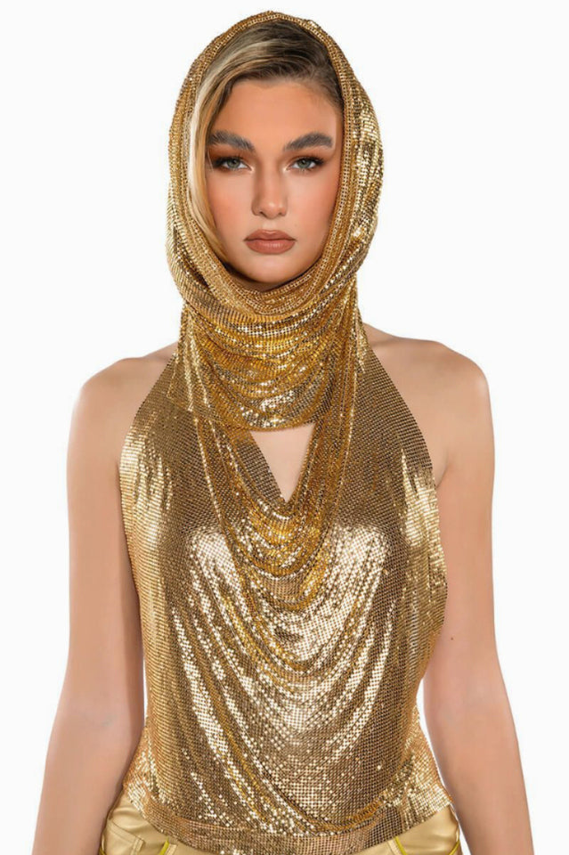 Metallic Mesh Hoodie Top