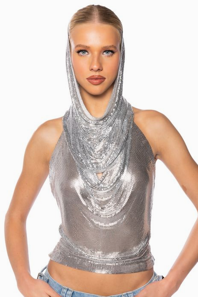 Metallic Mesh Hoodie Top