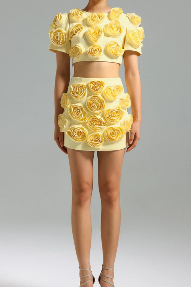 Rose Applique Cropped Top and Skirt Set